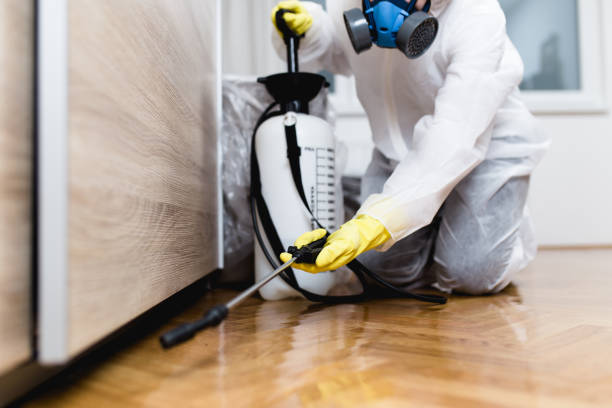 Best Affordable Pest Control Services  in Vass, NC