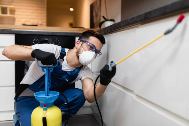 Best Local Pest Control Services  in Vass, NC