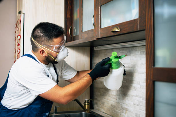 Best Emergency Pest Control  in Vass, NC