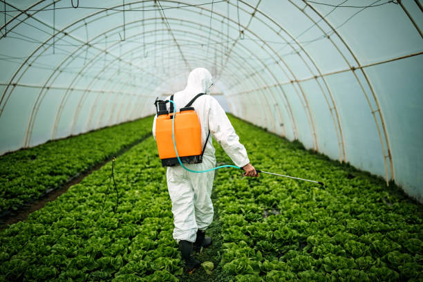 Best Pest Control Near Me  in Vass, NC