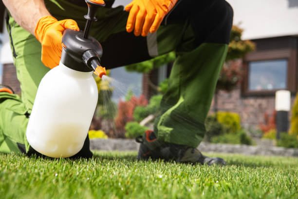 Best Pest Prevention Services  in Vass, NC