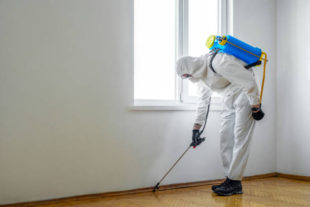 Best Exterminator Services  in Vass, NC