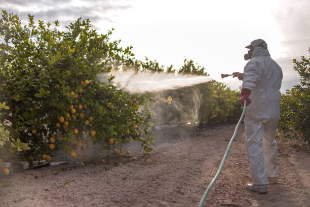 Best Commercial Pest Control Services  in Vass, NC