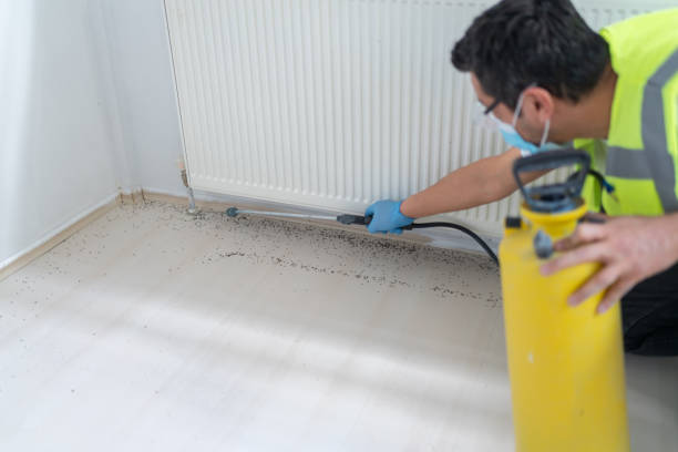 Best Cockroach Control Services  in Vass, NC