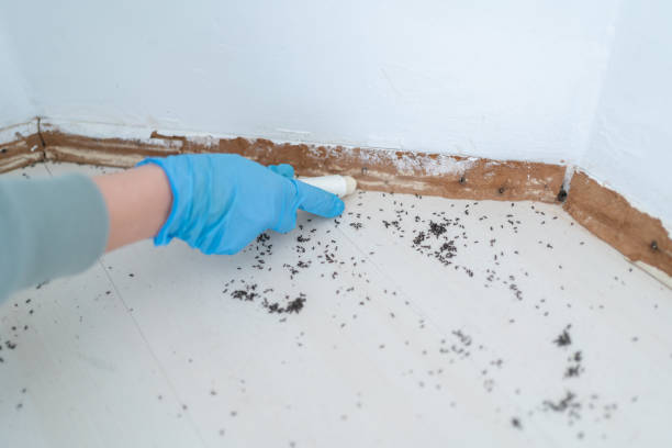 Best Pest Removal Services  in Vass, NC
